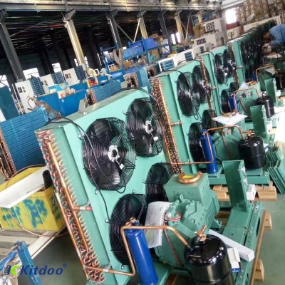 Cold storage Bitzer condensing units